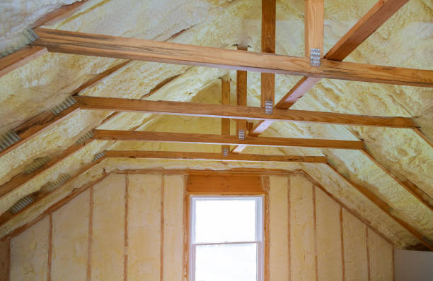 Best Residential Insulation in Walworth, WI
