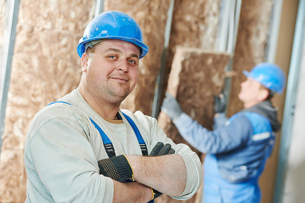 Best Insulation Maintenance and Repair in Walworth, WI