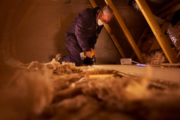 Best Residential Insulation in Walworth, WI