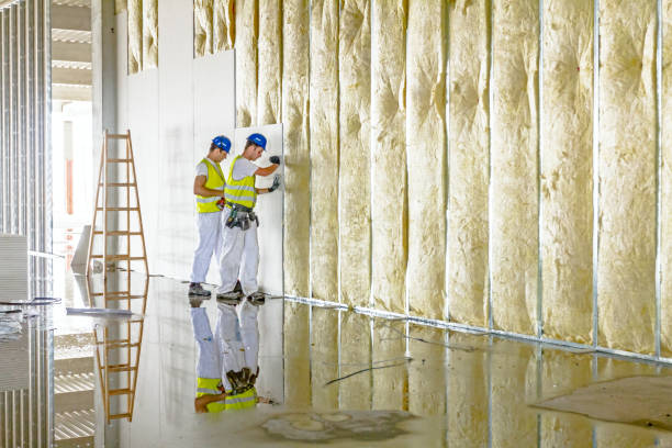 Best Commercial Insulation in Walworth, WI